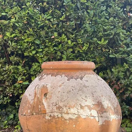 La Limonaia-2